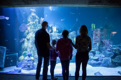 Skegness Aquarium Lincolnshire 