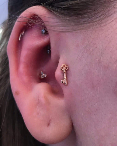 Conch Earring 22K Hoop, Conch Hoop 14mm, Conch Piercing Jewelry 16g, Conch  Jewelry Hoop, Conch Ring 16 Gauge, Conch Earring Hoop Piercing - Etsy |  Jewelry earrings hoops, Conch piercing, Conch piercing jewelry