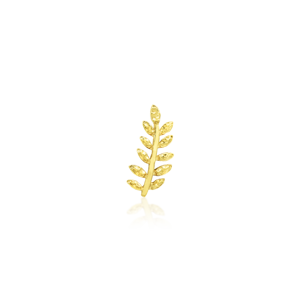 Willow in 14k Gold by Junipurr – Pierced