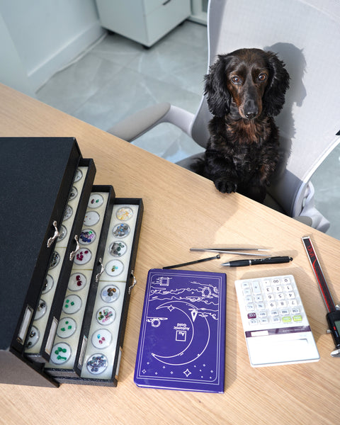 Luna, our office dog, sitting next to a table with a case of gems, a journal, and jewelers tools