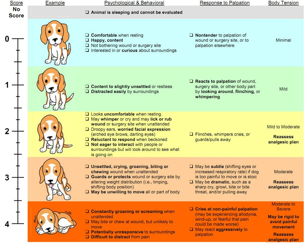 Dog Bite Levels Chart