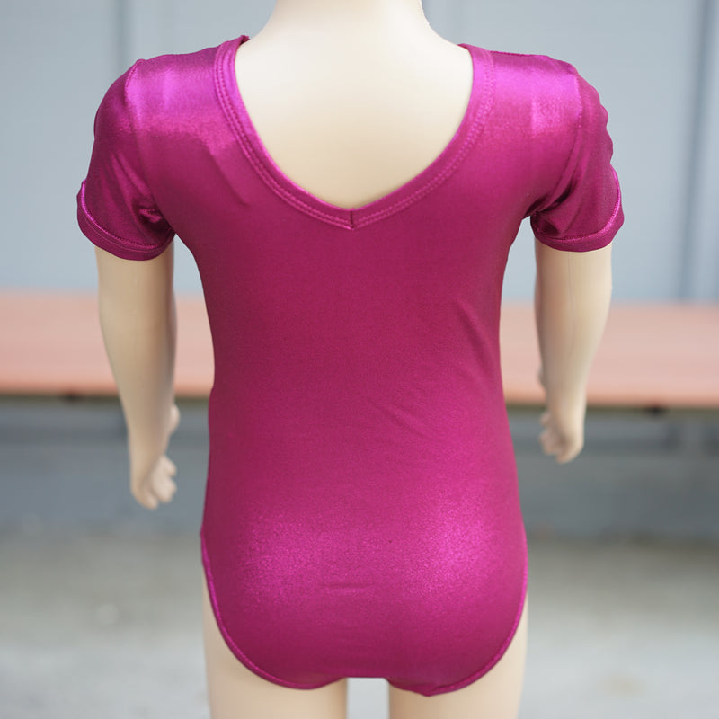 Pink Long Sleeve Leotard Wenchoice 