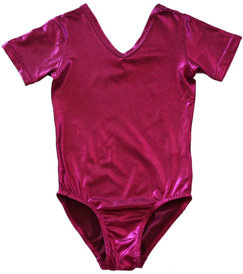 Pink Long Sleeve Leotard Wenchoice 