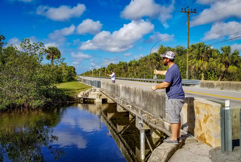 24 Hour Tour - The Tamiami Trail and the Everglades - Part 