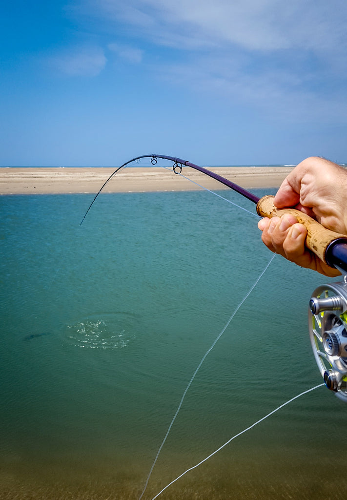 Surf's Up! Fall on the Fly, along the Beaches of the South-East. – Mauser  Fly Fishing