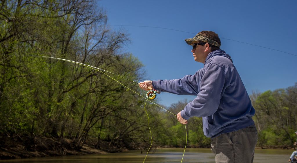 No Respect - The underrated and awesome Hickory Shad. Part 2 – Mauser Fly  Fishing