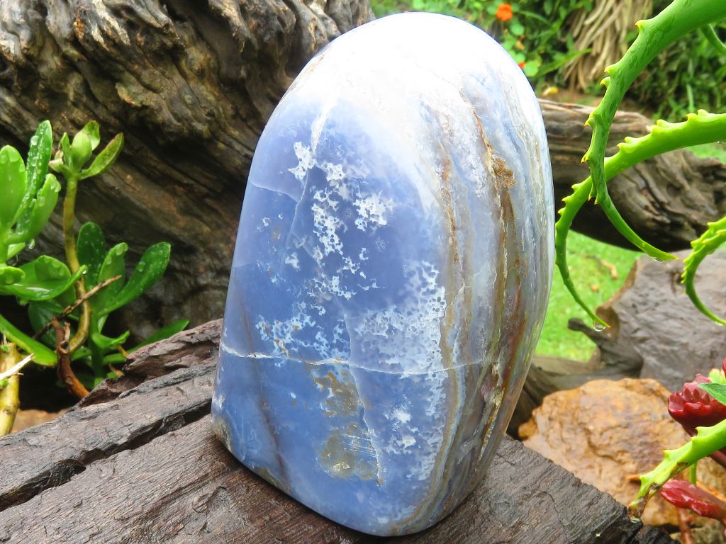 blue lace agate egg