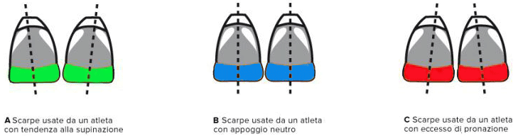 corsa supinatore