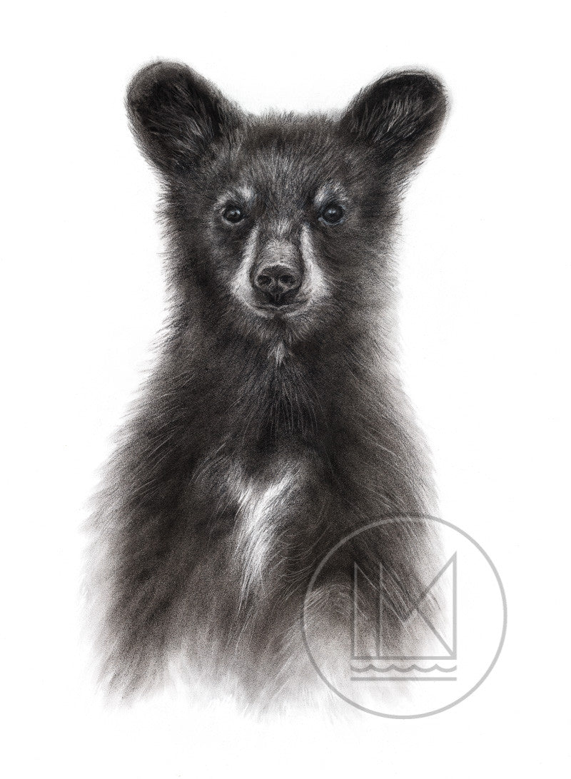 Standing Black Bear Cub Charcoal Drawing Mississippinorth