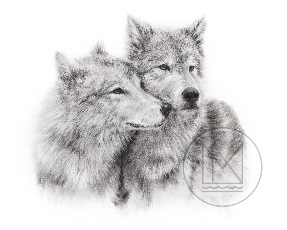 Wolves Charcoal Drawing - Canadian Wildlife Art – MississippiNorth