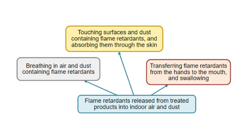 Main ways you can be exposed in Flame Retardants
