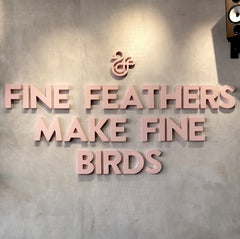 Fine feathers make fine birds