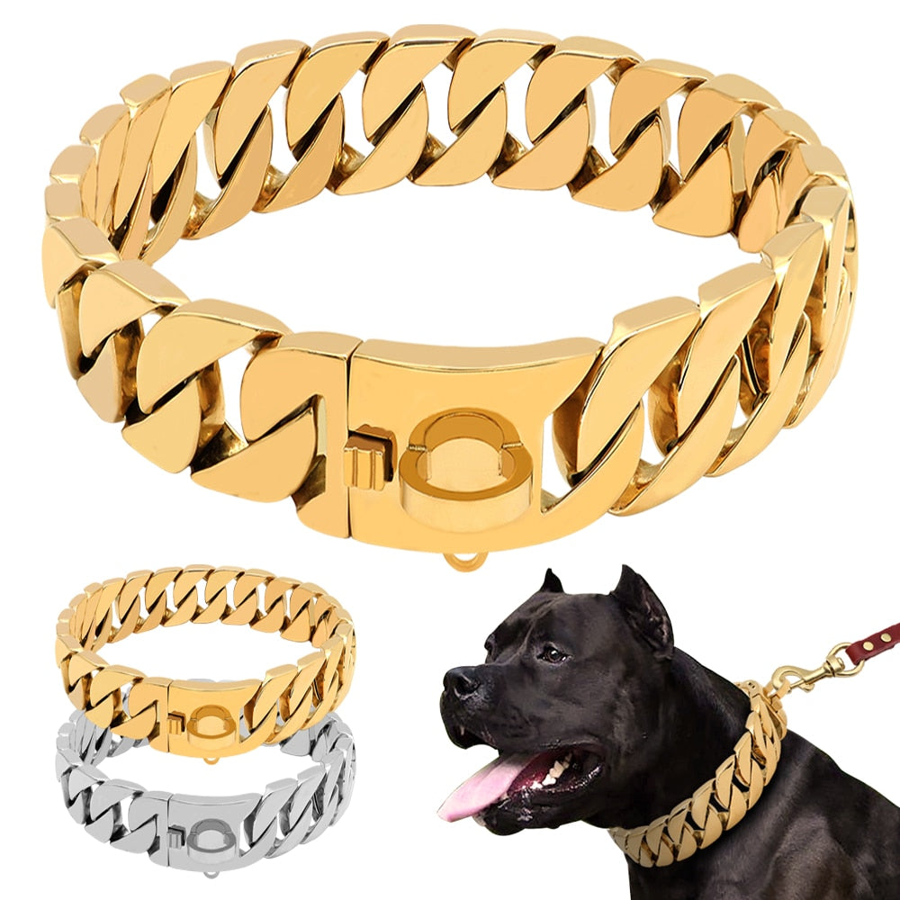 gold link dog collar