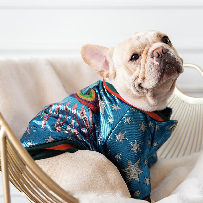 Pawcci Star Bomber Jacket – Happy Paws Dog Lounge