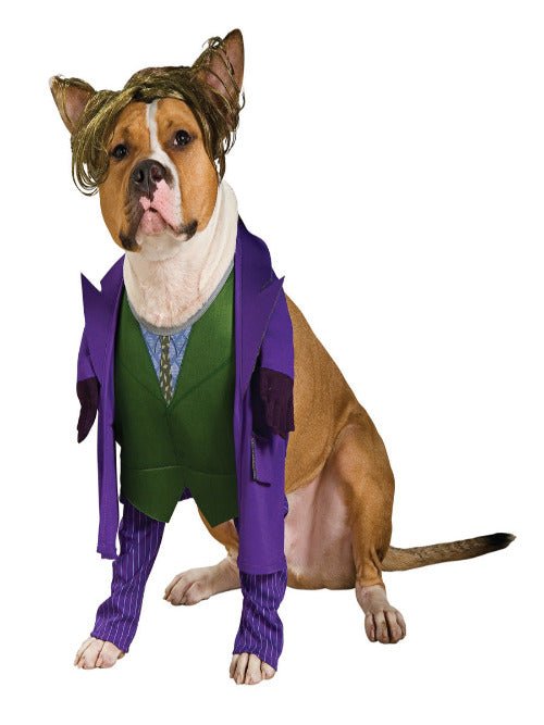 The Joker Dog Pet Pet Costume