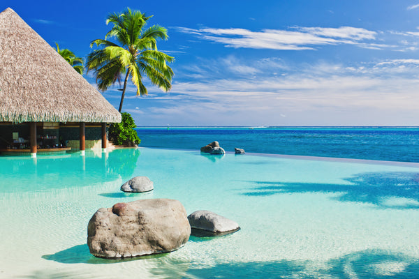 infinity pool with swim up tiki bar next to the ocean