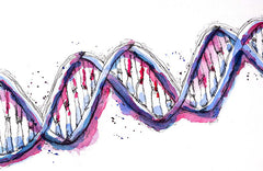 DNA in lila Aquarell