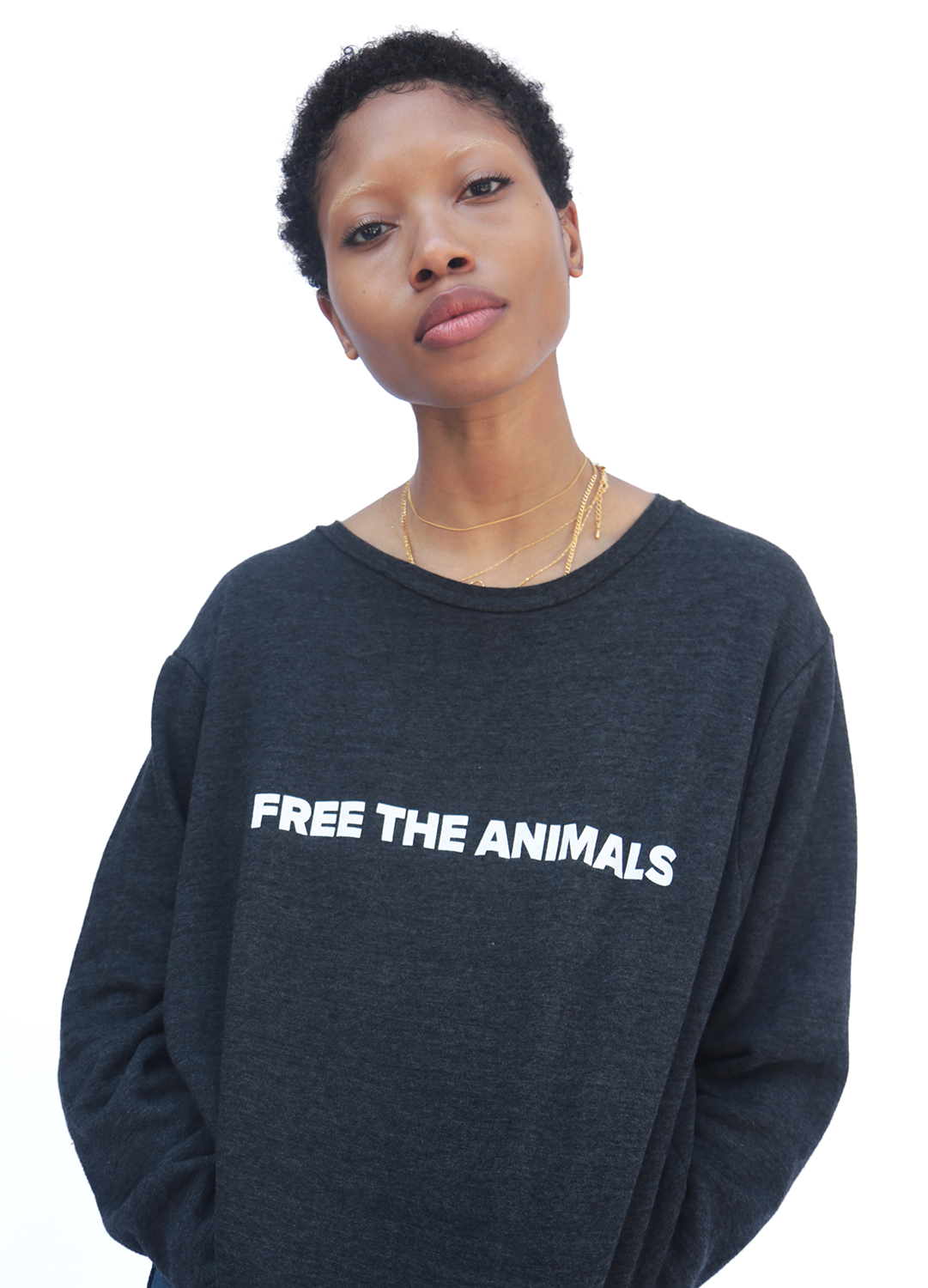 FREE THE ANIMALS  Grey Fox Crewneck