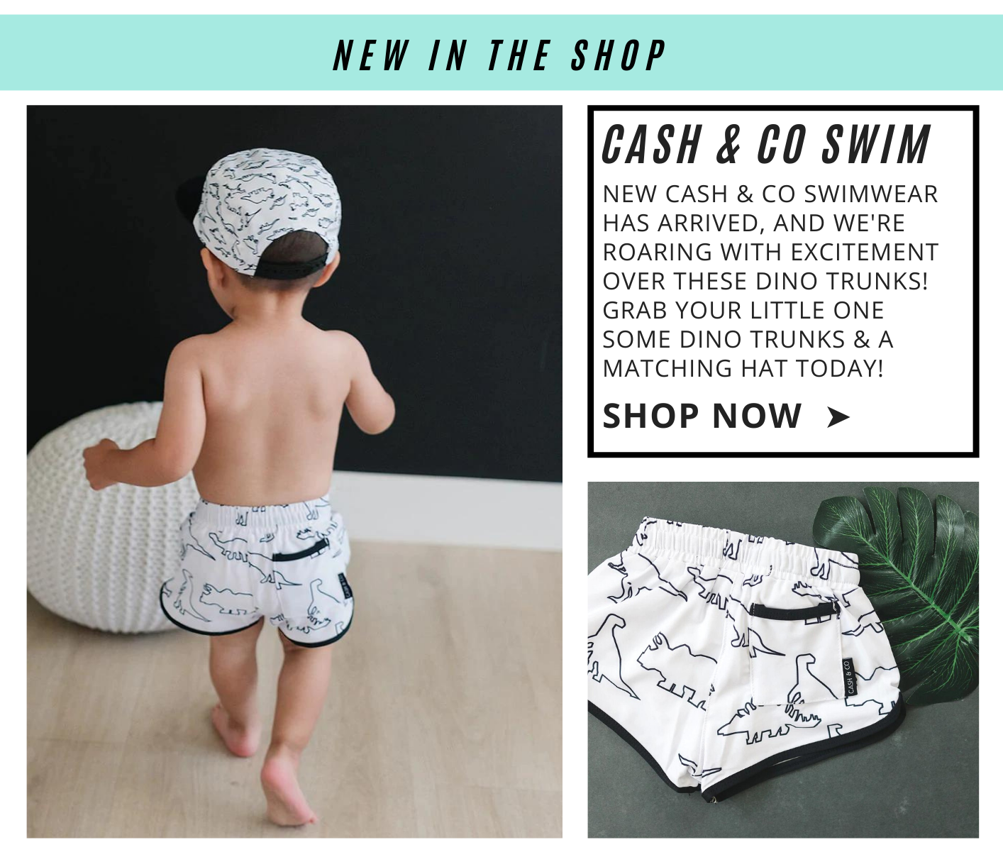 new cash & co swim