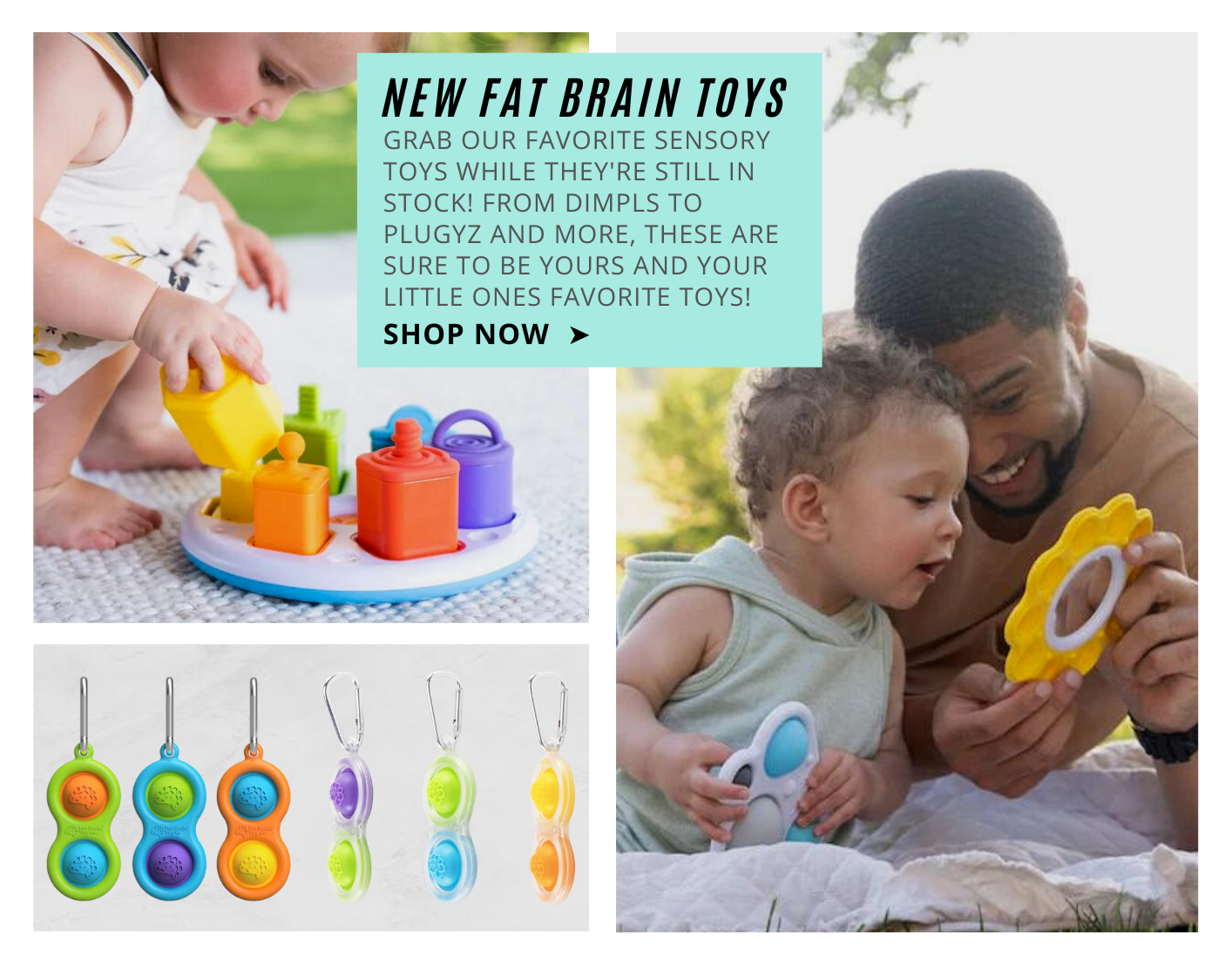 new fat brain toys