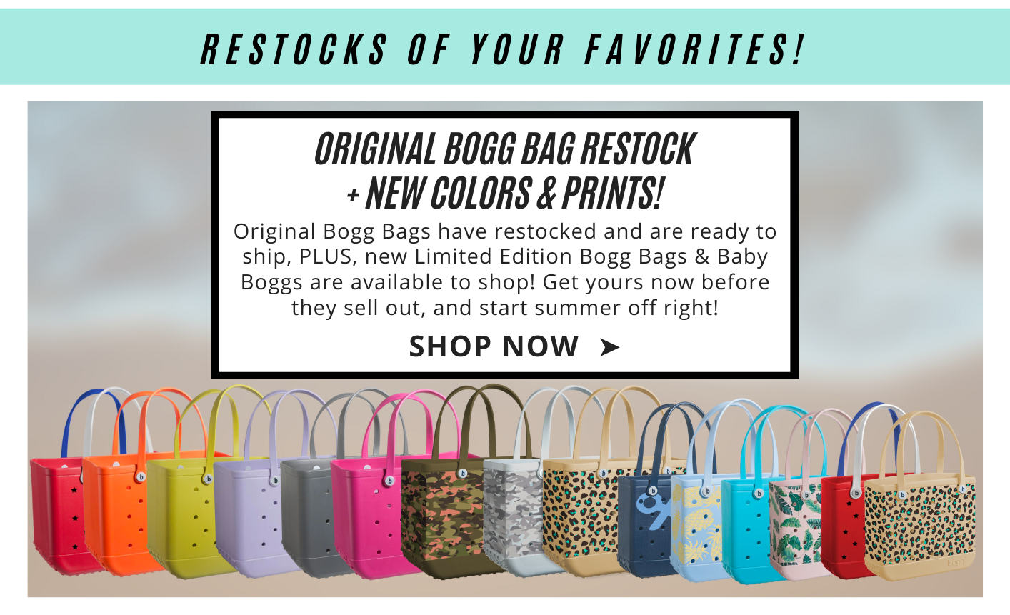 bogg bags