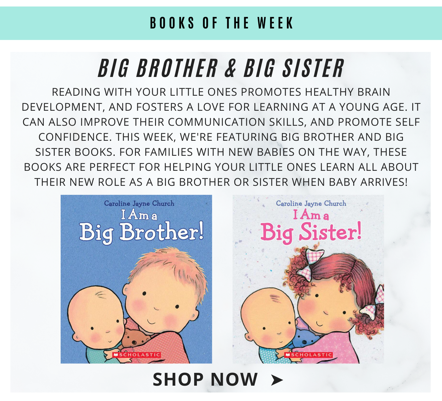 books of the week big brother big sister