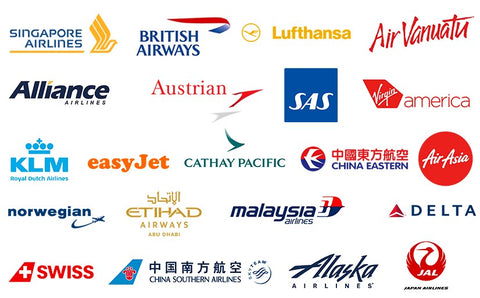 Approved airlines for Plane Pal