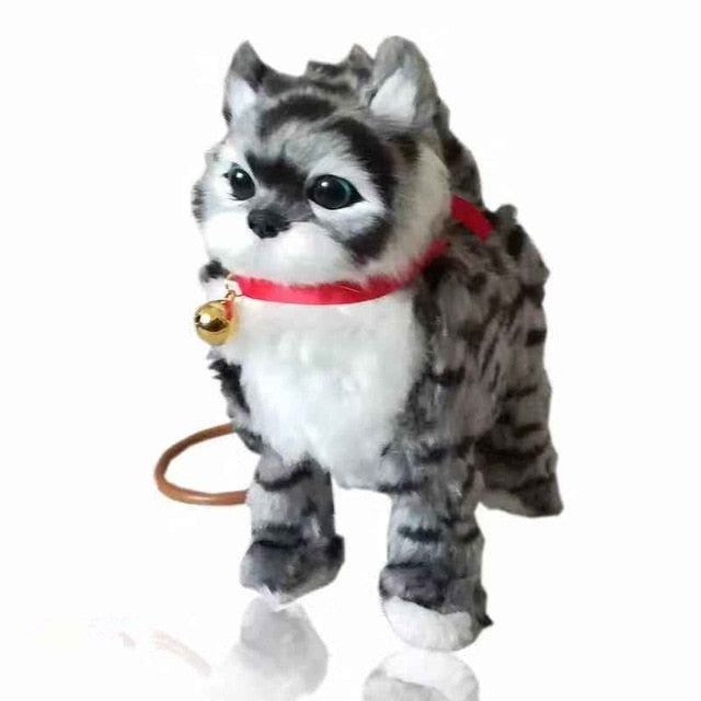 walking cat toy on leash