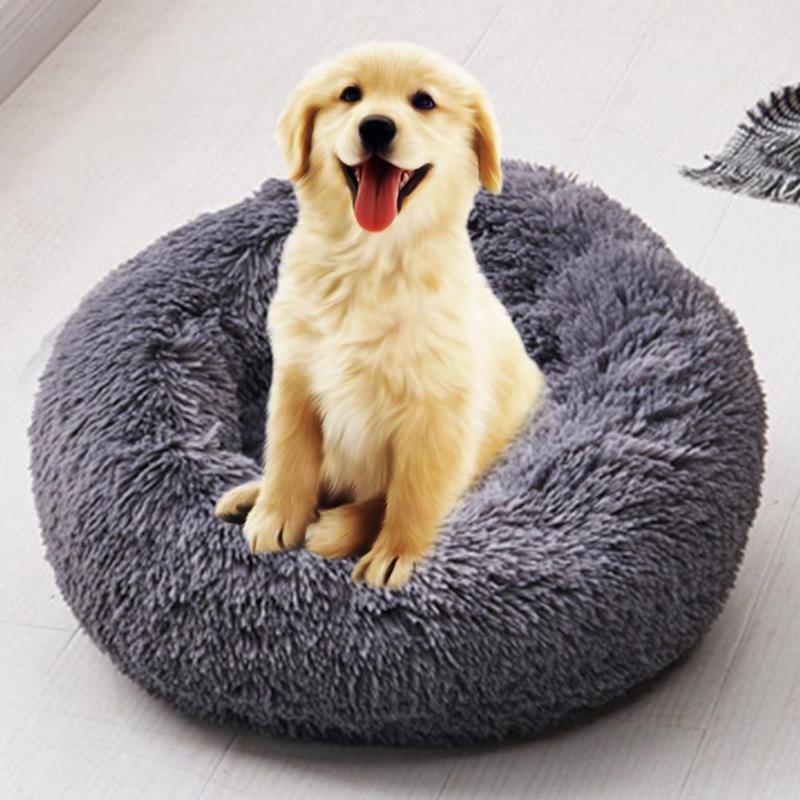 large dog cushion