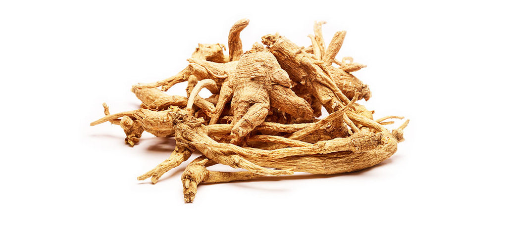 ginseng root