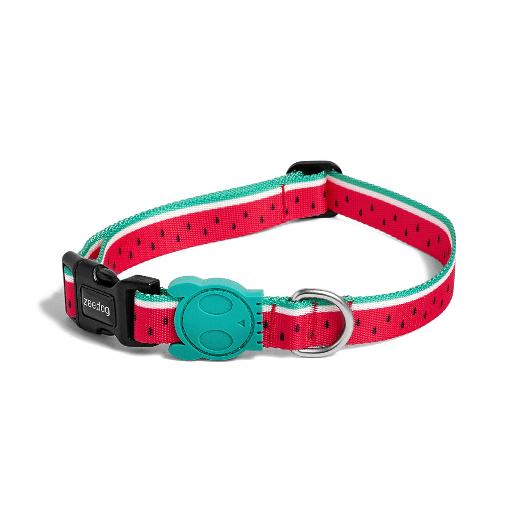 amazing dog collars