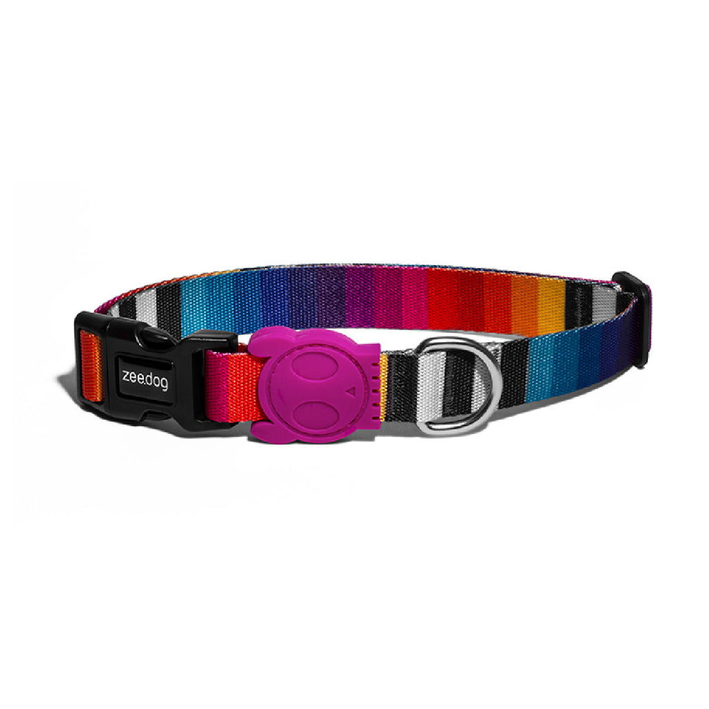 amazing dog collars