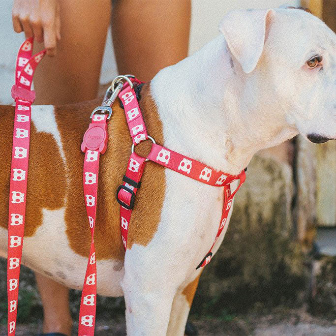 what is a step in dog harness