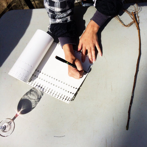 Labelling newly grafted cider apple trees for the nursery