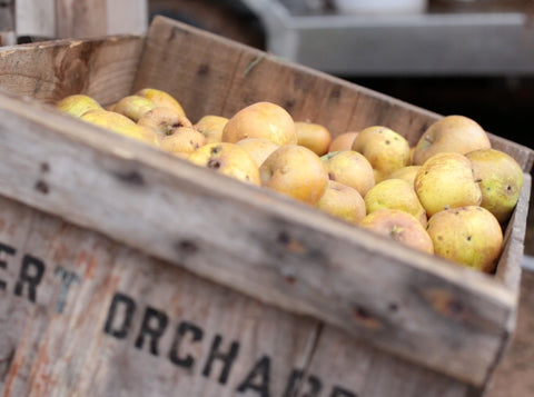 Golden Russet Heritage Apple Cider