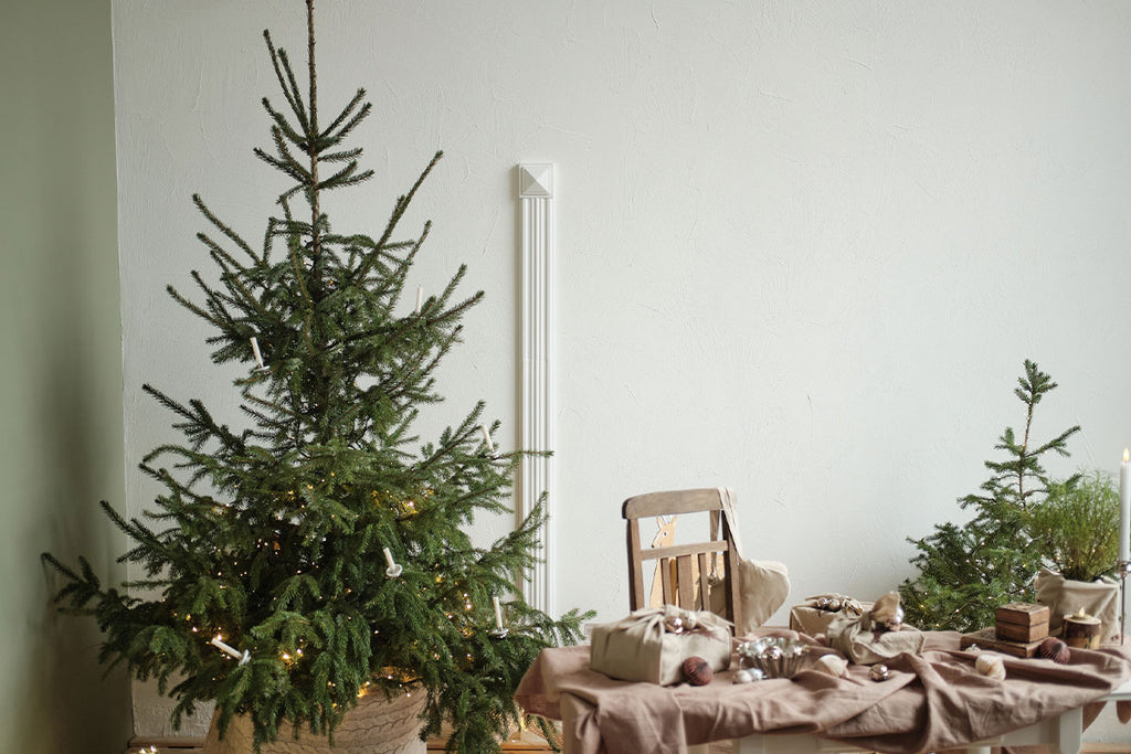 Tips for an affordable and sustainable christmas