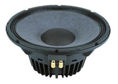 p audio 21 inch speaker