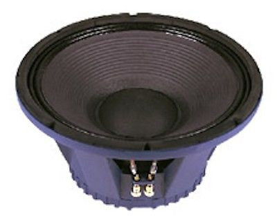p audio 21 inch speaker