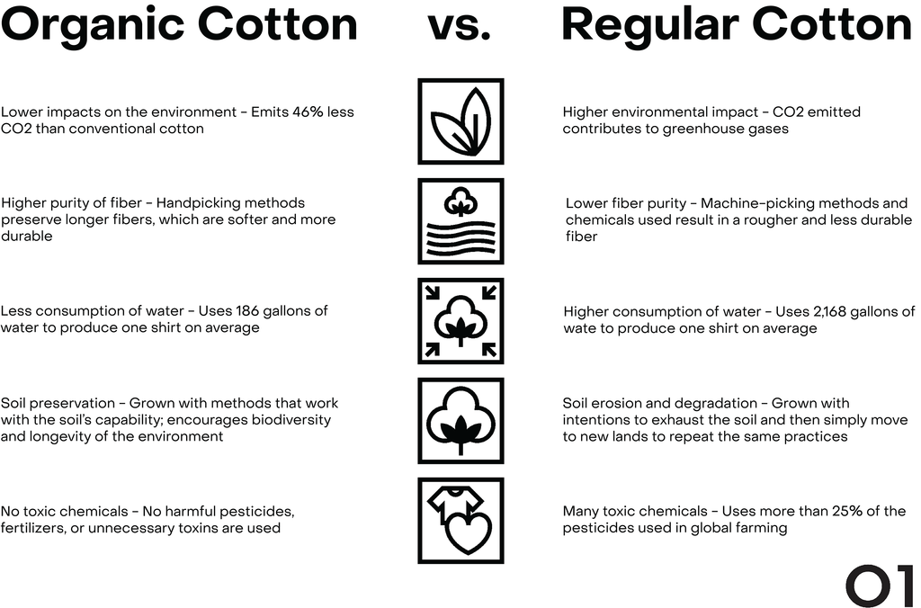 Organic Cotton vs Regular Cotton