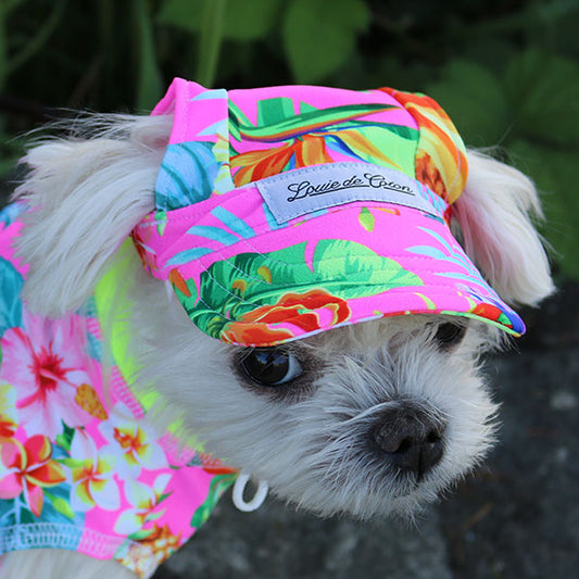 Cooling Dog Hat with UPF50+ - Royal Blast – Louie de Coton