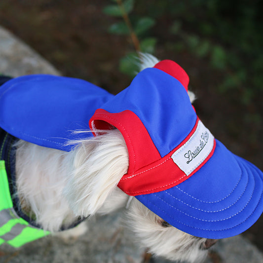 Waterproof Dog Hat - Sunset – Louie de Coton