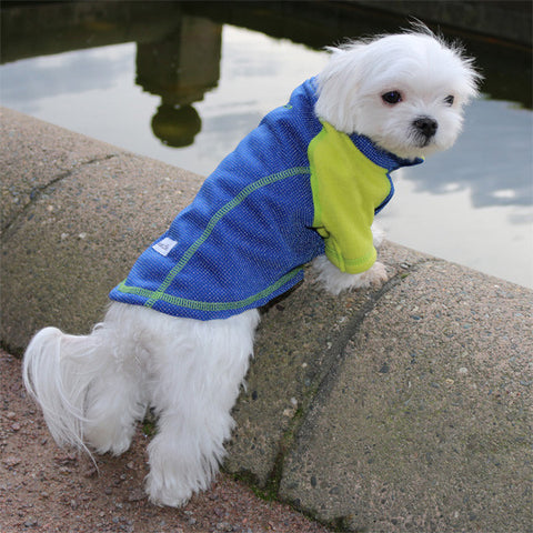 Seahawks Themed Gear for Small Dogs – Louie de Coton