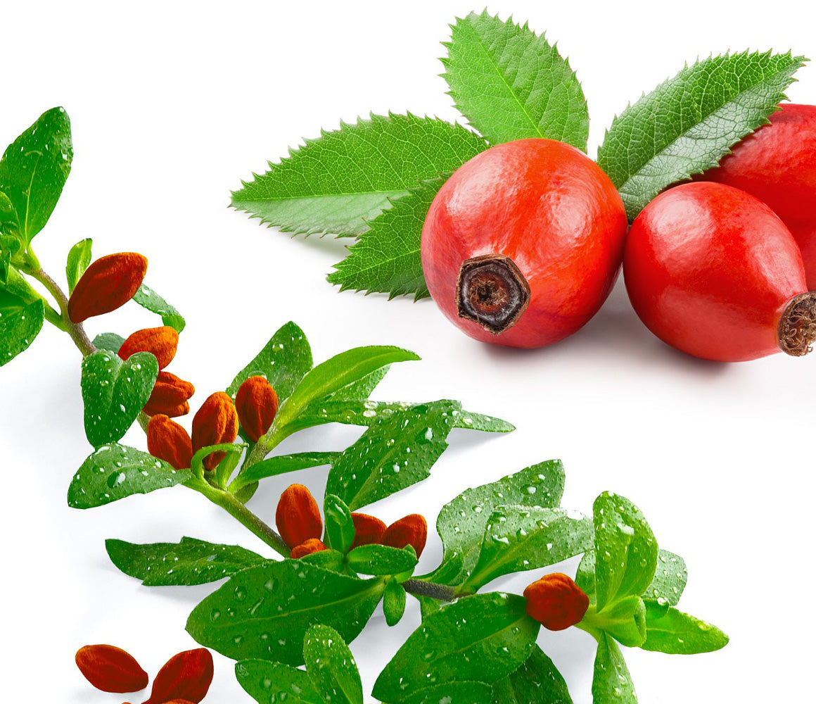 Rosehips
<p>Hugely regenerative. Improves skin elasticity and firmness. Loaded with Vitamin C, which assists in collagen production. Rich in essential fatty acids and antioxidants, which deeply hydrate, reduce scar tissue and fine lines. Exfoliates and brightens skin.</p>

Jojoba Oil
<p>May help promote collagen synthesis and reduce the appearance of fine lines, wrinkles and scars. Long-lasting hydration. Mimics the skin’s natural sebum, penetrating deeply to ferry high loads of nutrients and antioxidants into the skin. Protects against UVB damage (making it great to apply before yoni sunning!).  </p>