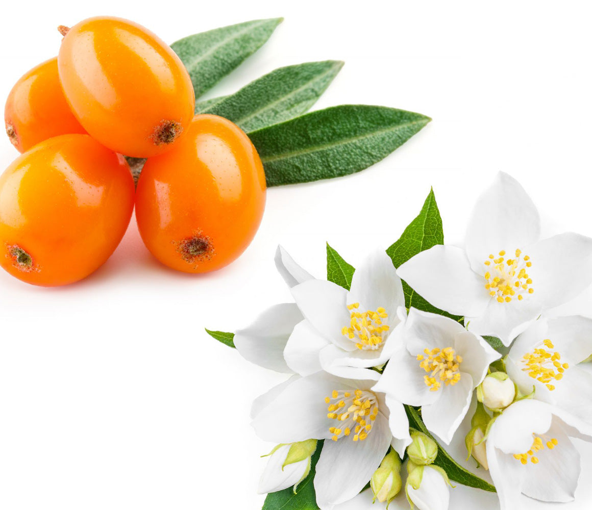 Seabuckthorn Oil
<p>Abundant in vitamins, nutrients and potent plant compounds, giving a beautiful and radiant glow. Over 200 medicinal properties oxygenate the skin, improve blood flow, remove excess toxins and decrease inflammation. Boosts hydration, skin elasticity and cell regeneration.</p>

Jasmine
<p>Dubbed “queen of the night” for its potent flowers penetrating the evening air, and for its aphrodisiac powers. Energy and mood booster. Natural phytoestrogens help PMS,  menopause and with balancing hormones. Aid in childbirth and postpartum recovery. 
Anti-inflammatory, anti-aging, hydrating, and beneficial for scarring. Reduces shaving irritation.</p>