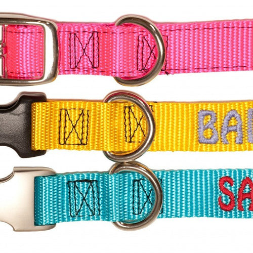 personalized dog collars cheap