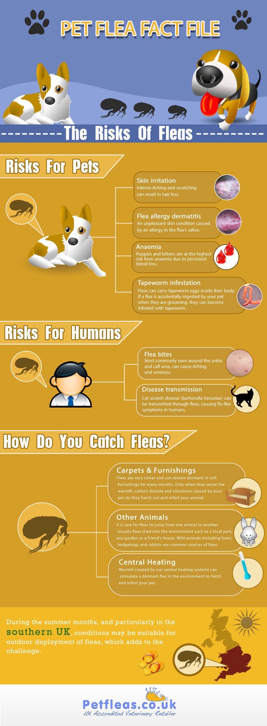 Pet Flea Fact File