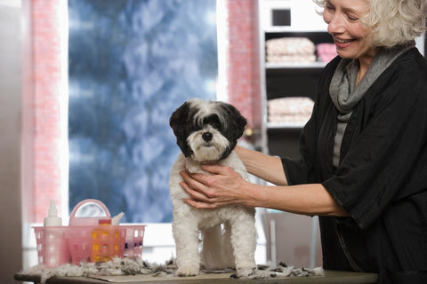 tips for dog grooming