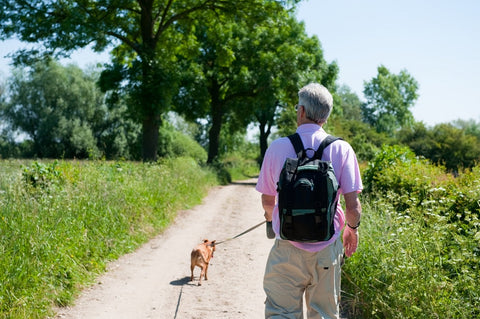 walking trails as outdoor activities for dogs