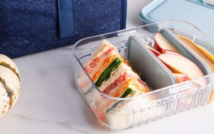 Bento Lunch Containers for Kids