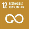 SDG goal responsible comsumption